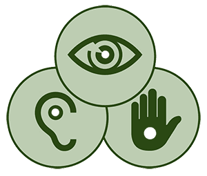 Accessibility features at DynapacParts.com
